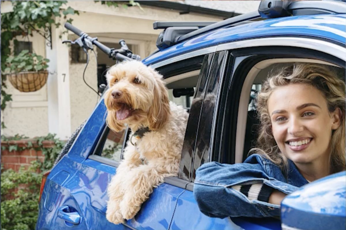 A girl in a car with a dog, waiting to board