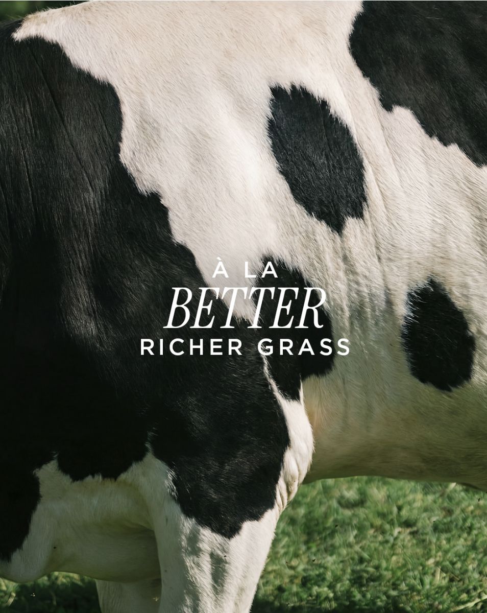 Better, richer grass graphic