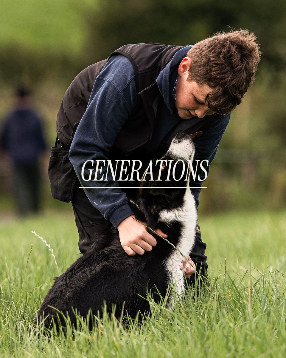 Pastures, generations photo 2