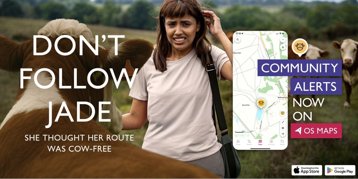 Don't follow the crowd, follow jade cows promo