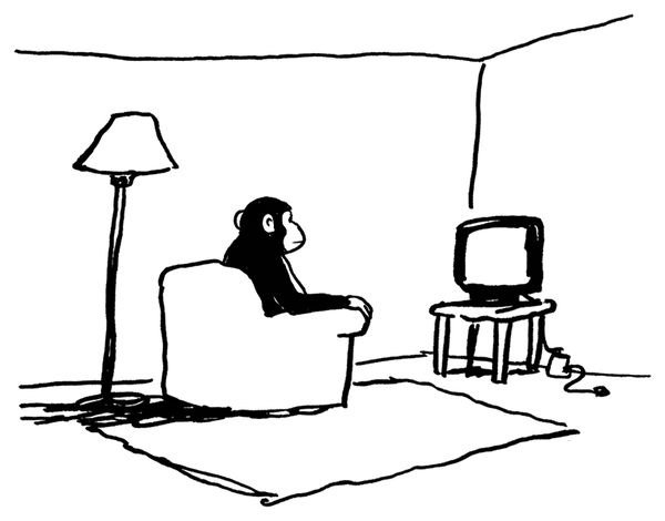 Adam's monkey mascot. Click to ask a question.
