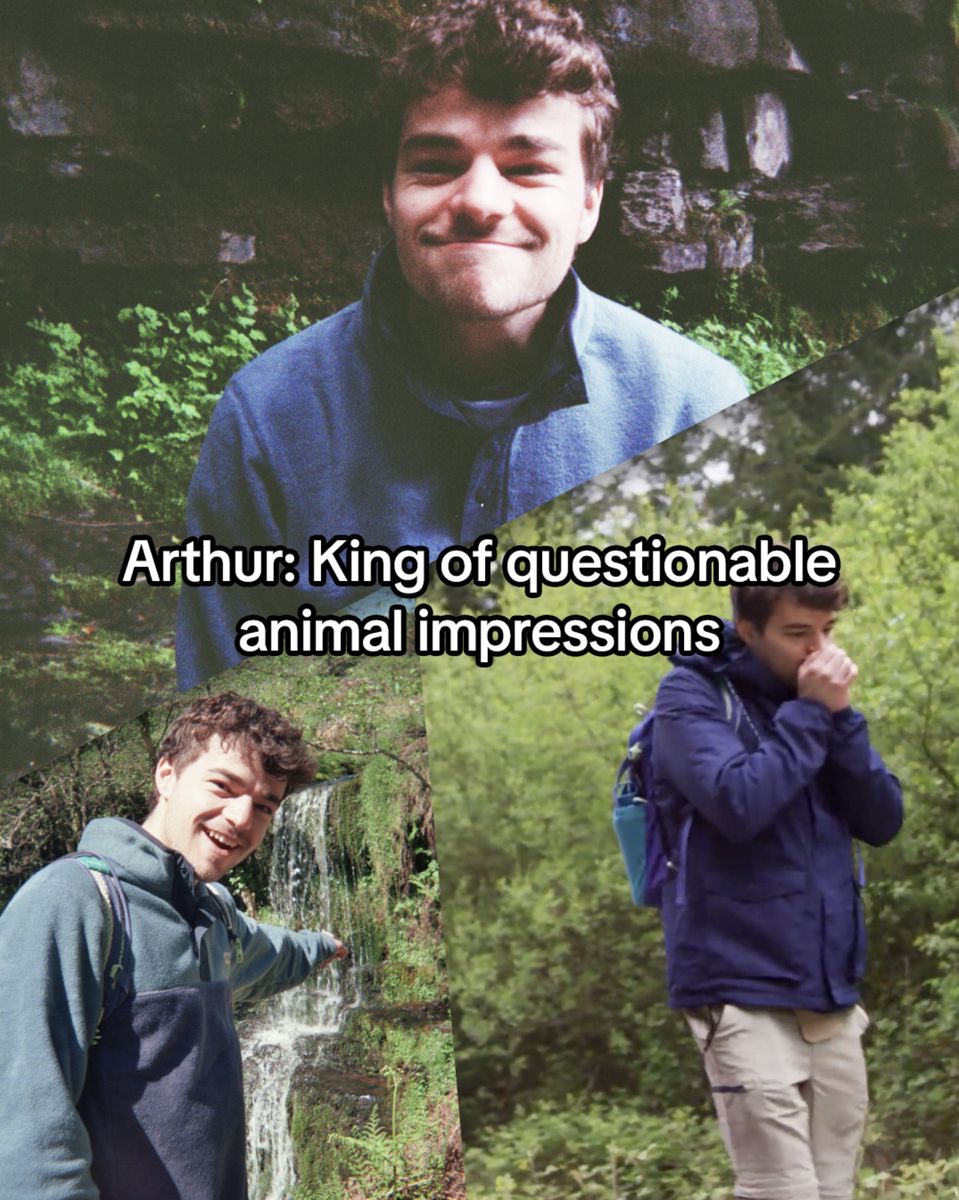 Character portrait: Arthur