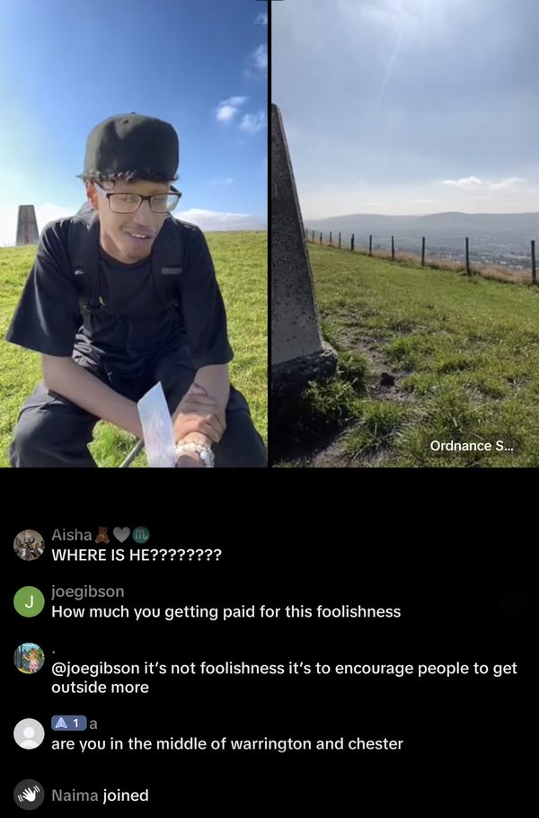 Screenshot of the live chat during a stream